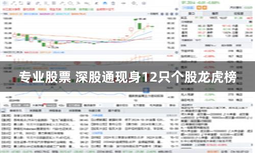 专业股票 深股通现身12只个股龙虎榜